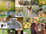 Ravensburger Puzzle per bambini - 13353 Dolci animali per bambini - Puzzle da 200 pezzi per bambini dagli 8 anni in su Puzzle Naty Shop