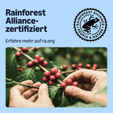 di Amazon Entkoffeinierte 100% Arabica-Kaffeepads, geeignet für Senseo-Maschinen, medium Röstung, 36 Stück (1 Packung mit 36 ​​​​Stück) – Rainforest Alliance-zertifiziert