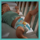 Pannolini PAMPERS Baby-DRY taglia 7 123