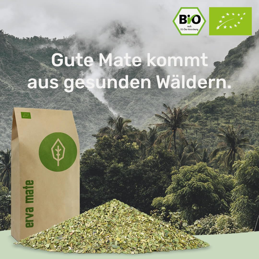 Set degustazione tè Mate ● 4 varietà di tè Mate biologico ● 100 g cadauna Erva Mate + Yerba Mate + Tè Verde Mate + Tè Mate Roasted