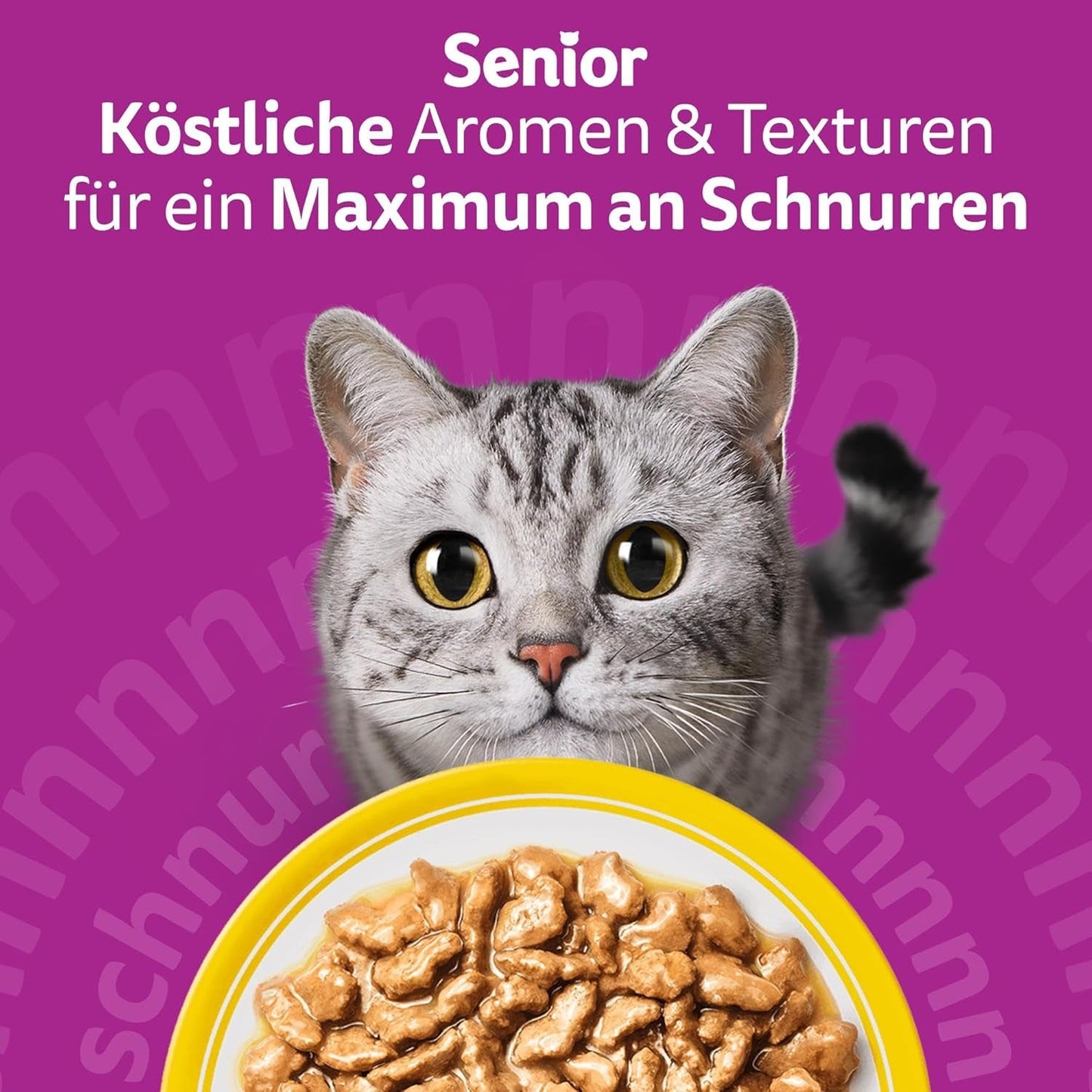 Whiskas 7+ Cibo umido per gatti Selezione di Pollame in Salsa 24 x 85 g (2 Confezioni) - Cibo umido di alta qualità a partire da 7 anni in 48 buste da porzione