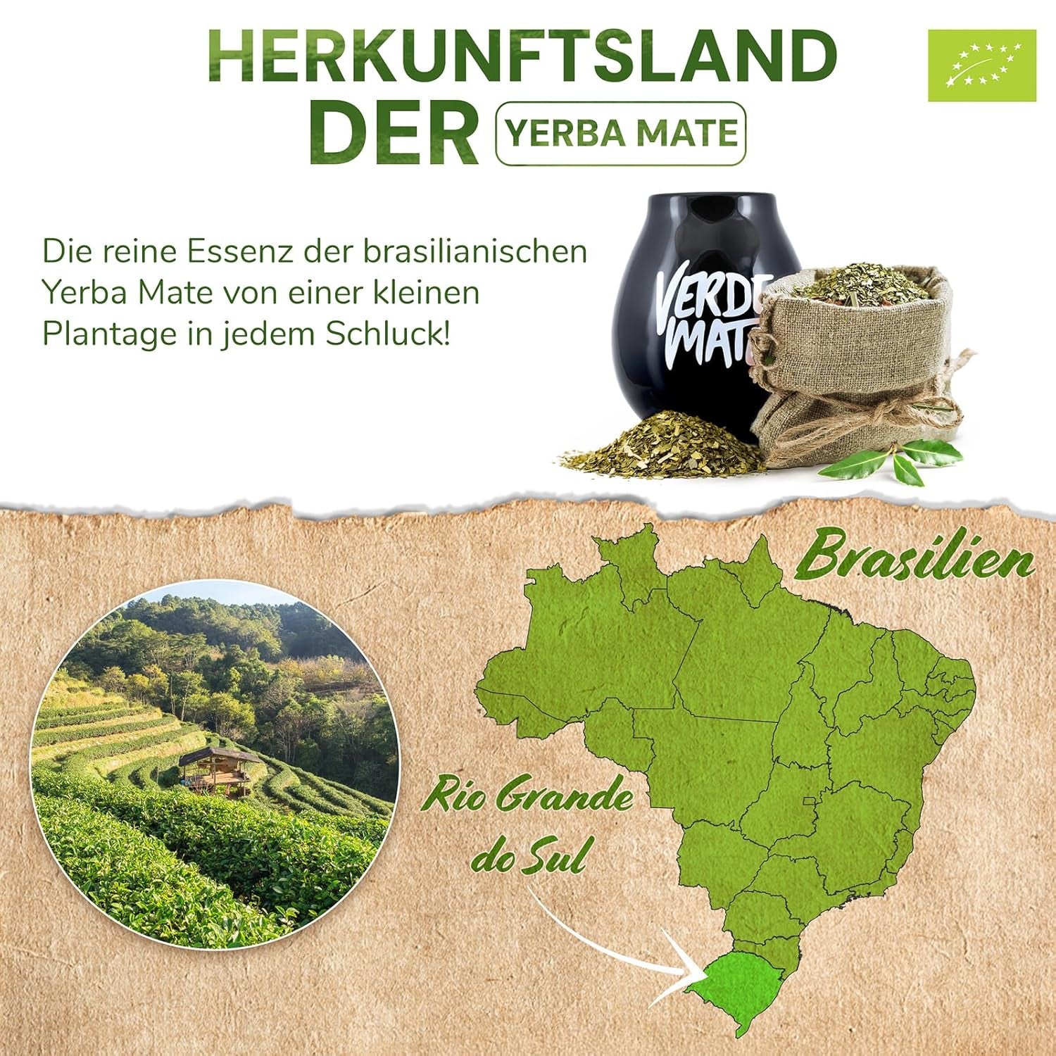 Green Mate Green Organica Energia Guaranà 500G | Tè Yerba Mate biologico dal Brasile | Contenuto di caffeina naturale | Tè Mate biologico