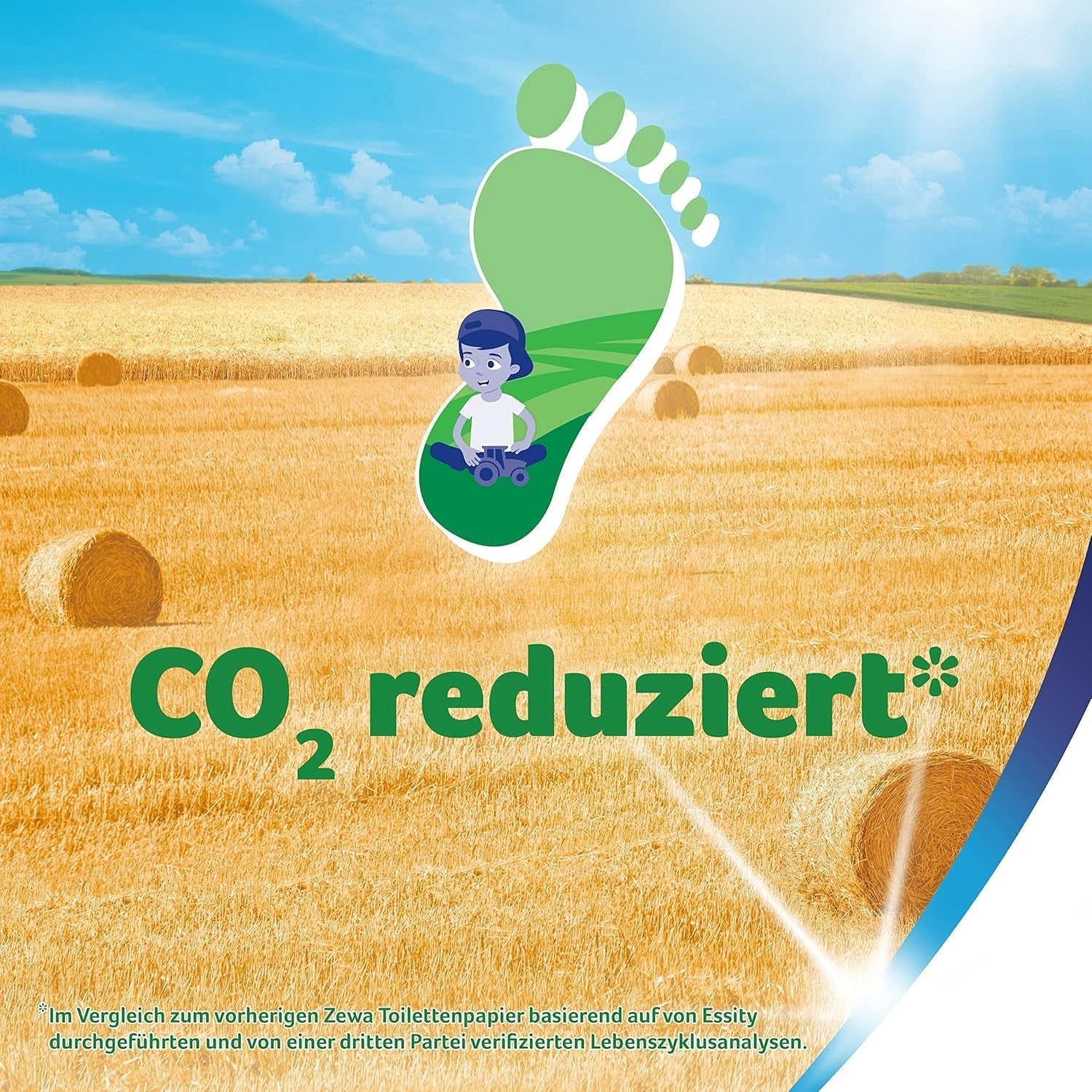Zewa Proven - 48 rotoli - La prima carta igienica con contenuto di paglia - 3 strati