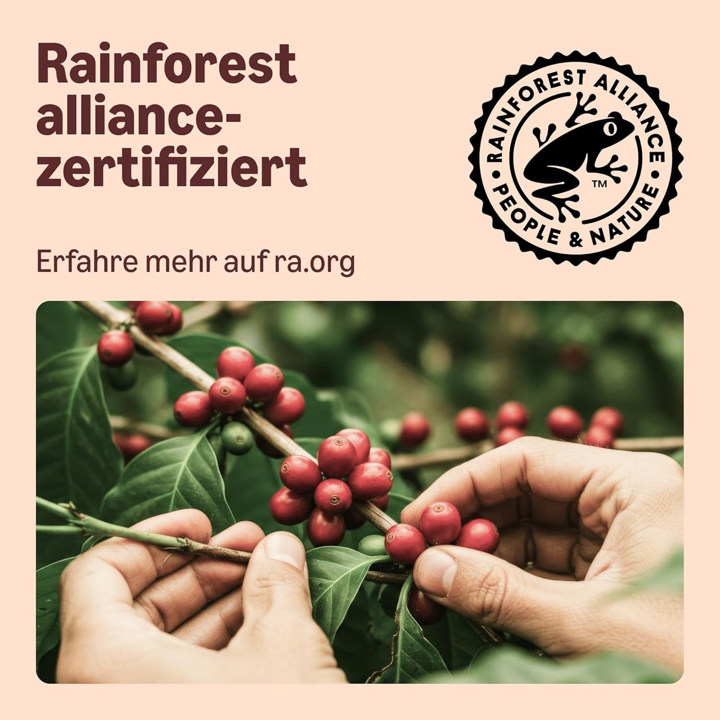 Di Amazon Heimkompostierbare Kaffeekapseln, compatibile con Nespresso, 100% kolumbianischer Arabica, 20 Stück – Rainforest Alliance-zertifiziert