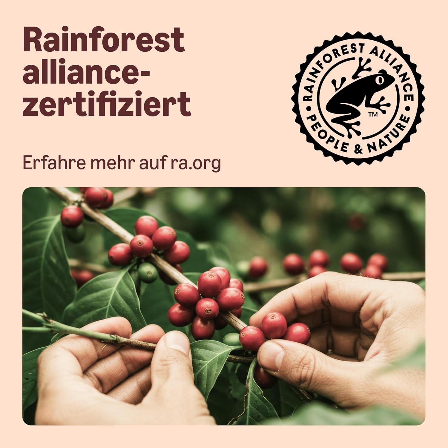 Di Amazon Heimkompostierbare Kaffeekapseln, compatibile con Nespresso, 100% kolumbianischer Arabica, 20 Stück – Rainforest Alliance-zertifiziert