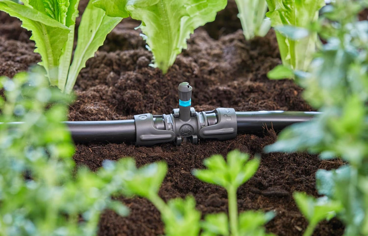 Raccordo a T Gardena Micro-Drip-System per ugelli spruzzatori: collegamento tra tubi da 13 mm e un ugello spruzzatore, irrigazione automatica delle piante, tecnologia di collegamento semplice e veloce, riutilizzabile (13206-20)
