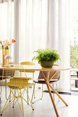 elho Vibes Fold Bowl 25 - Vasi da fiori per interni - 100% plastica riciclata - Ø 24,9 x H 12,1 cm - Verde/Ferngrün