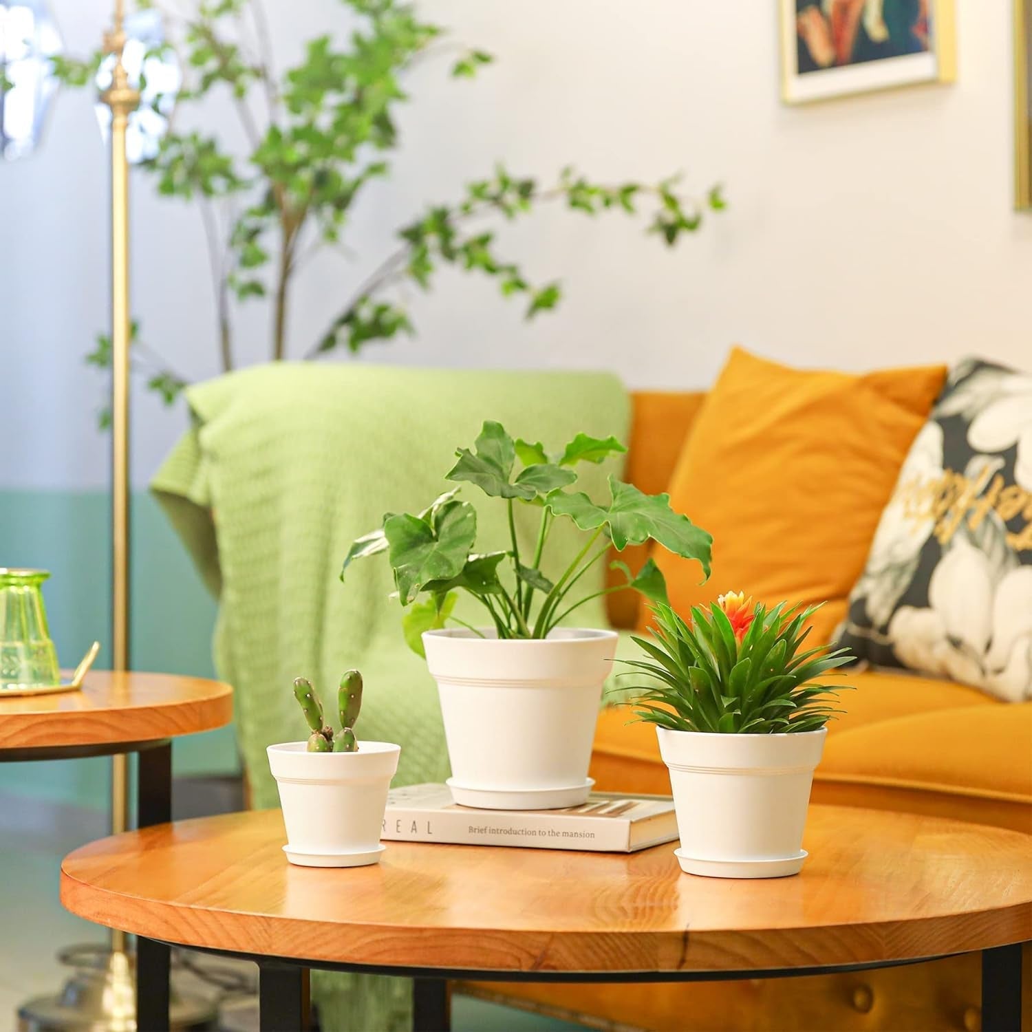 T4U Vaso da Fiori in Plastica con Sottovaso da 16 cm, Set di 6 Vasi per Erbe in Plastica con Fori di Drenaggio Multipli, Vaso Rotondo per Piante Succulente da Interno e da Balcone, Cactus, Bianco