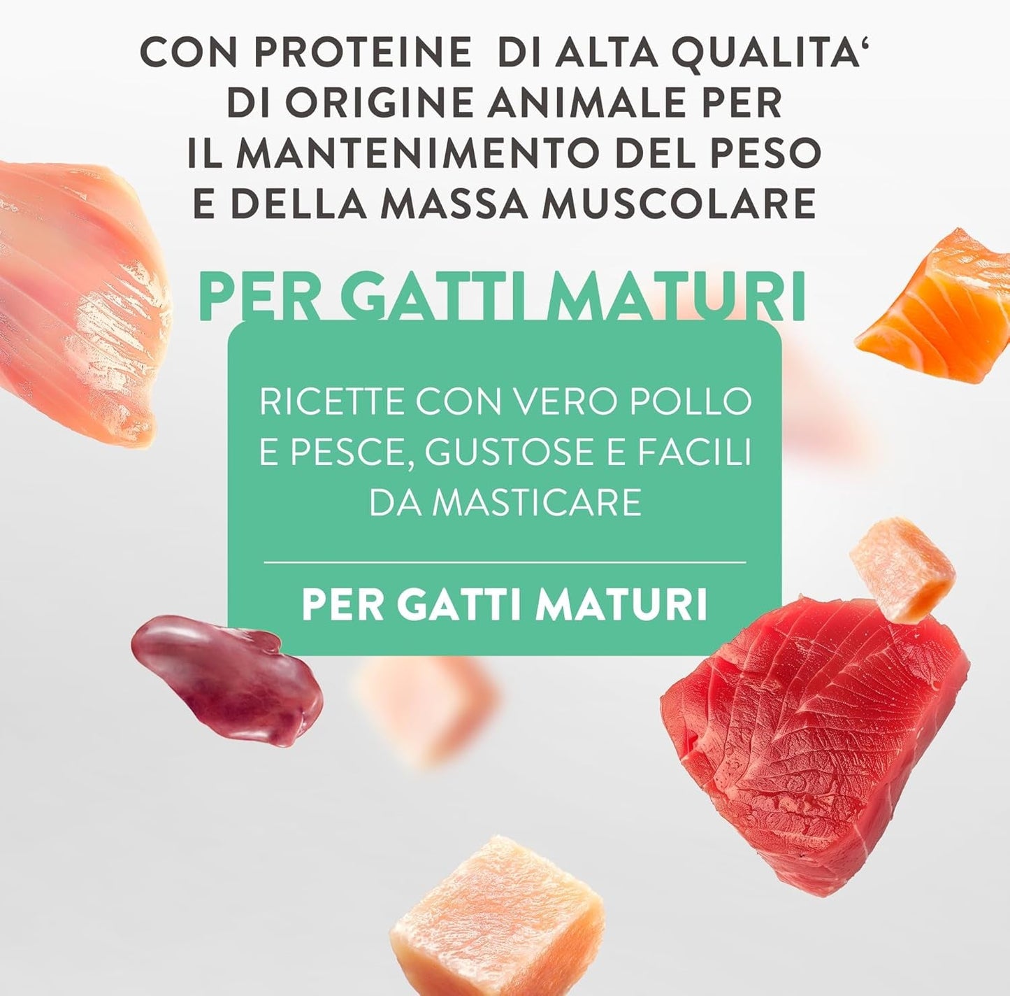Pollo Silver con mousse e filetti d'anatra, alimento umido completo per gatti anziani, senza cereali, supporto immunitario, fonte di umidità, 12 x 70g