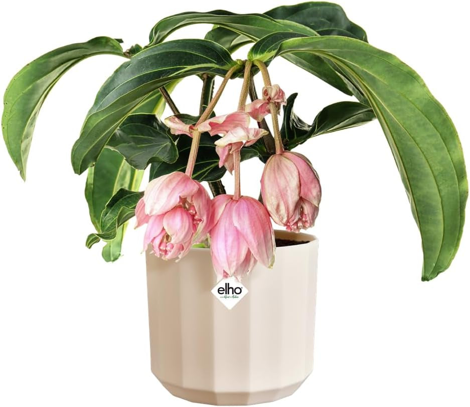 Vaso rotondo elho Facet 23 cm - per uso interno - 100% plastica riciclata - Ø 22,7 x H 20,4 cm - Rosa/Rosa mandorla