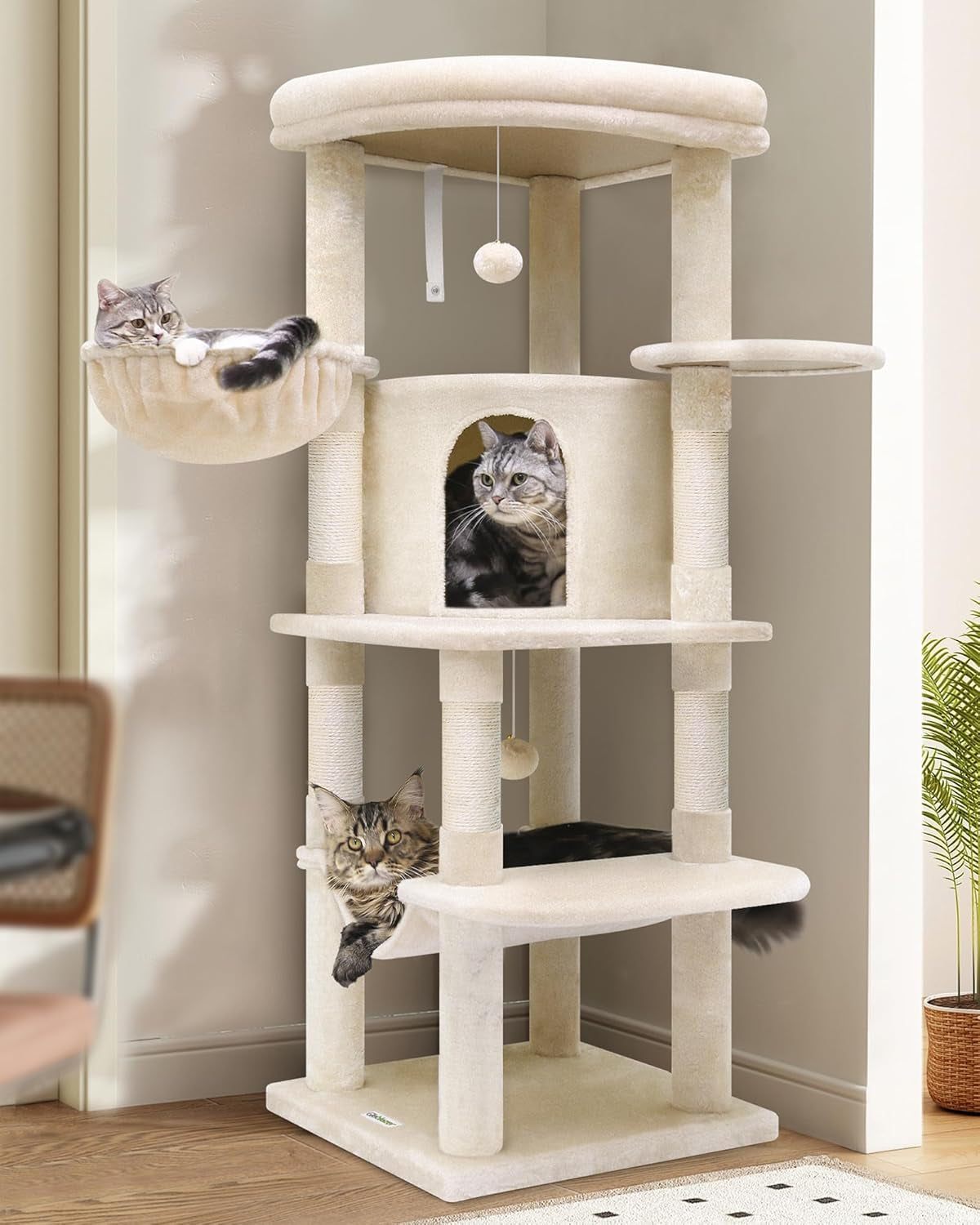 Coperte e Mobili, Animali Domestici, Gatti, Letti per gatti, Tiragraffi, Gatti - Letti, Materassi