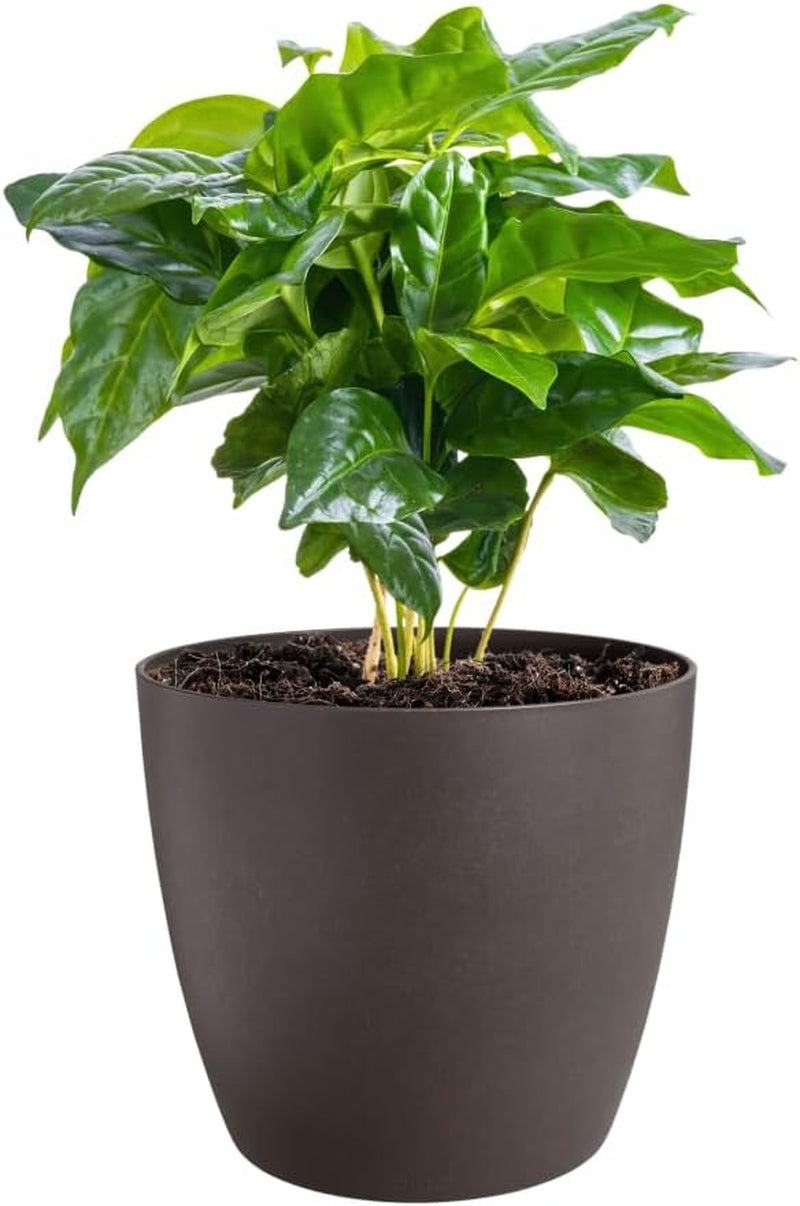 elho The Coffee Collection, pentola rotonda da interni, 18 cm, realizzata con fondi di caffè e plastica riciclata - marrone/marrone espresso