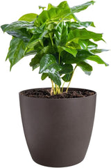 elho The Coffee Collection, pentola rotonda da interni, 18 cm, realizzata con fondi di caffè e plastica riciclata - marrone/marrone espresso