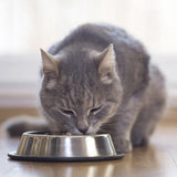 BEAPHAR - Dieta renale con pollo - Alimento completo per gatti con insufficienza renale cronica - Per supportare la funzionalità renale - 100 g