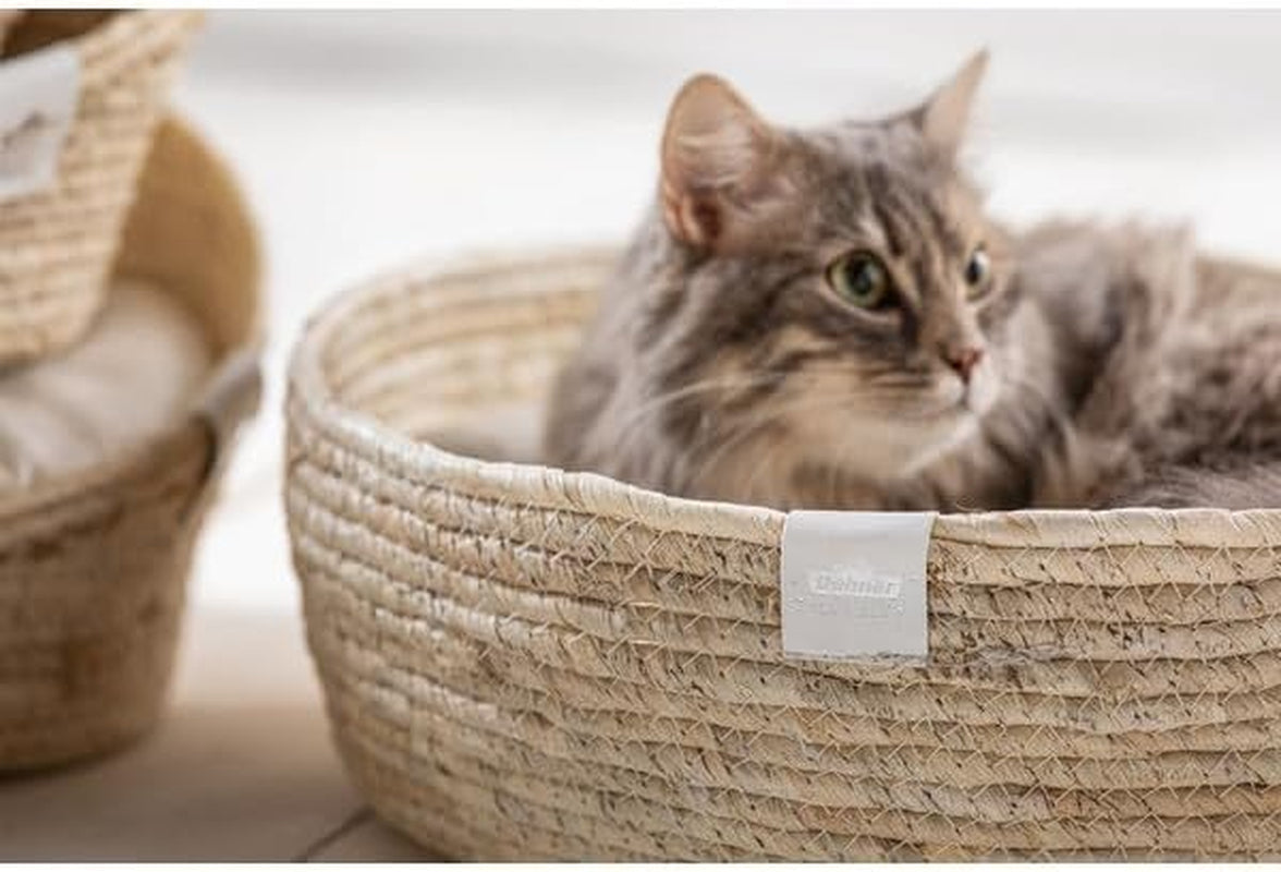 Letti, coperte e mobili, Animali domestici, Gatti, Cucce per gatti, Gatti - Letti, materassi