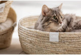 Letti, coperte e mobili, Animali domestici, Gatti, Cucce per gatti, Gatti - Letti, materassi