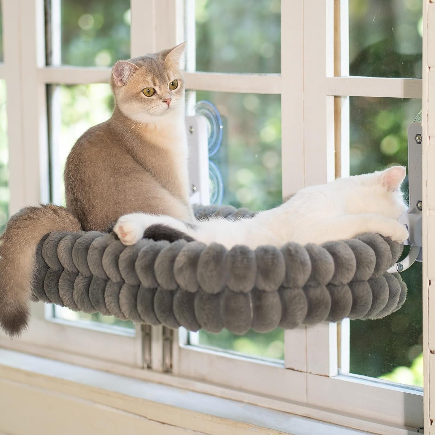 Letti, coperte e mobili, Animali domestici, Gatti, Cucce per gatti, Gatti - Letti, materassi