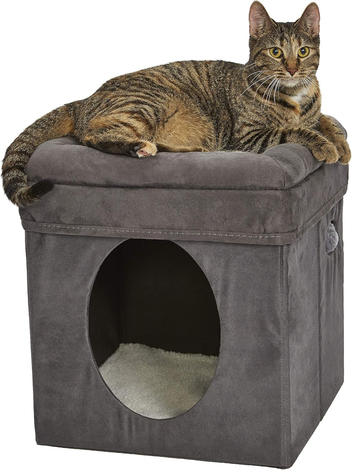 Letti e Divani, Coperte e Arredi, Animali Domestici, Gatti, Letti per gatti, Gatti - Letti, materassi