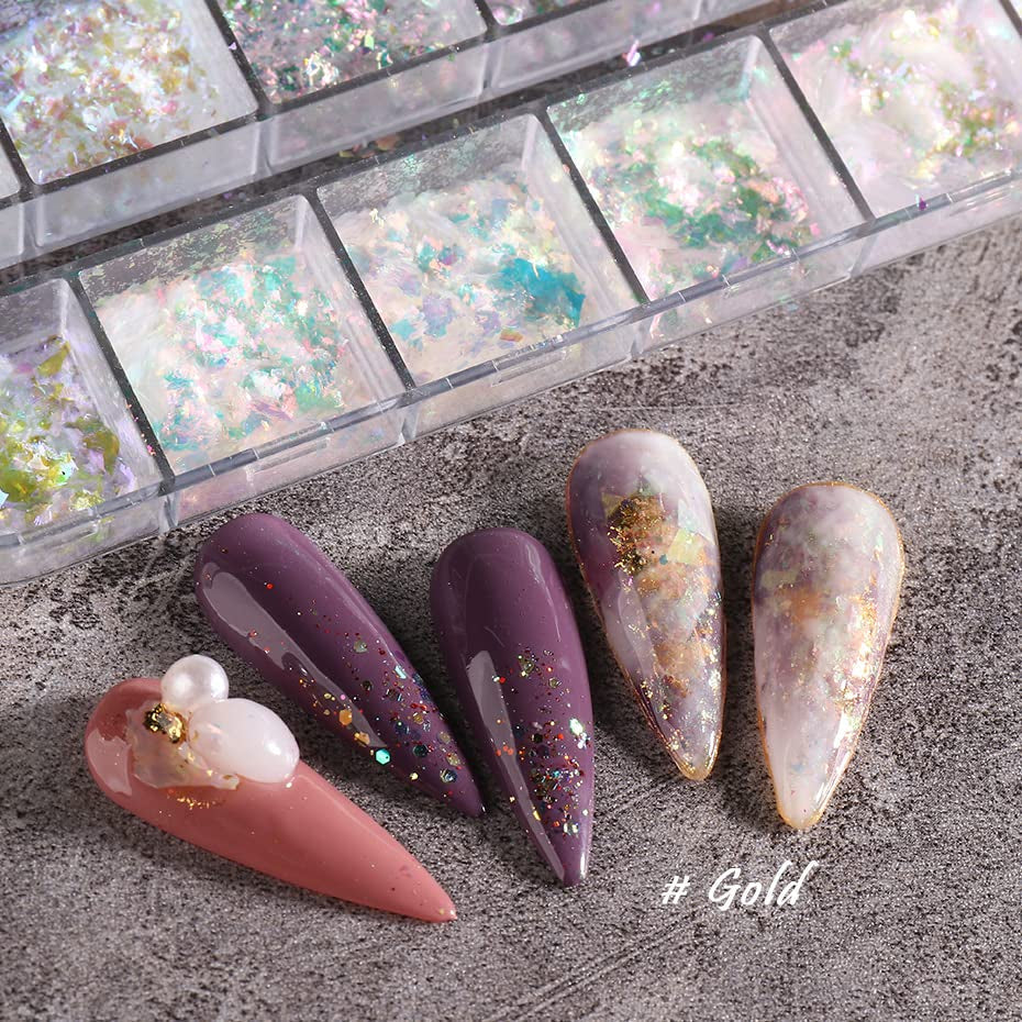 JMEOWIO Glitter per unghie 12 griglie Aurora Nail Art decorazione accessori nail design