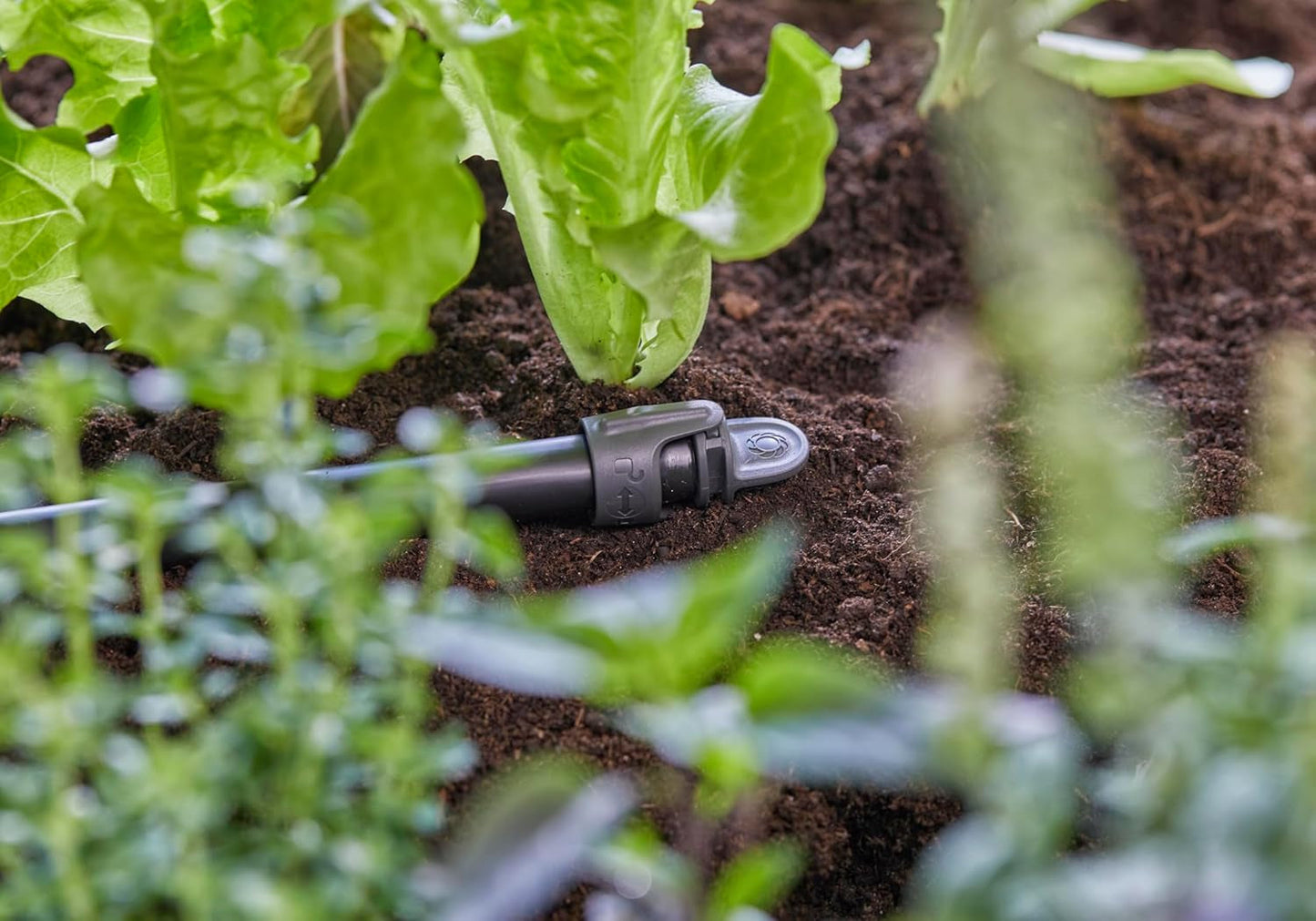 Tappo di chiusura Gardena Micro-Drip-System 13 mm (1/2 pollice): pratica chiusura per tubi da 13 mm, tecnologia di collegamento semplice e veloce, riutilizzabile (13205-20)