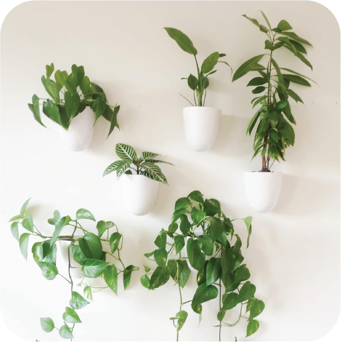 Vasi da parete autoirriganti Virgo (set da 6) - Facili da annaffiare e installare - Leggeri - Crea il tuo giardino verticale - Vasi da parete per piante da interno