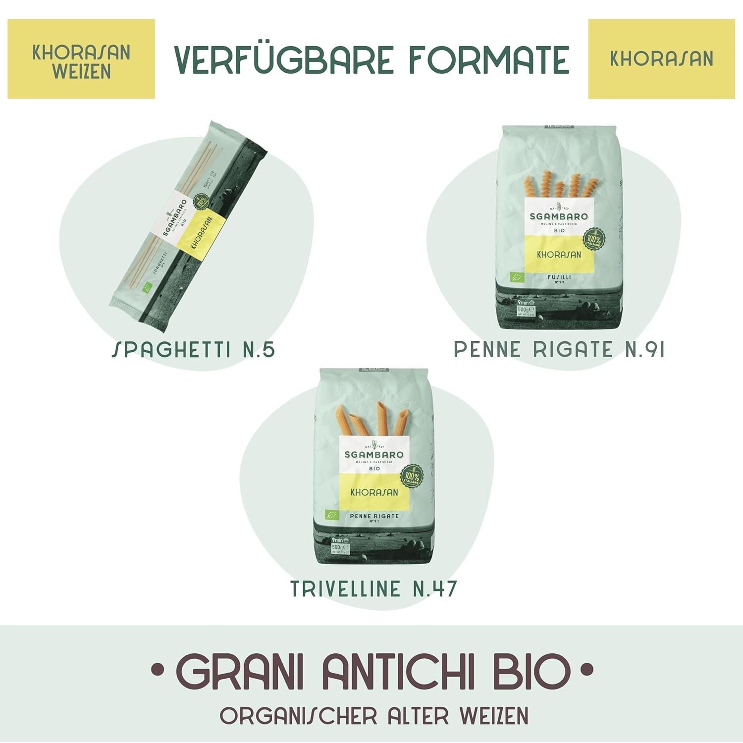 Penne Rigate Bio N.91 - 500g di Grano Khorasan - Grano antico, ricco di proteine, coltivato al 100% in Italia - Versatile in cucina e ricco di nutrienti