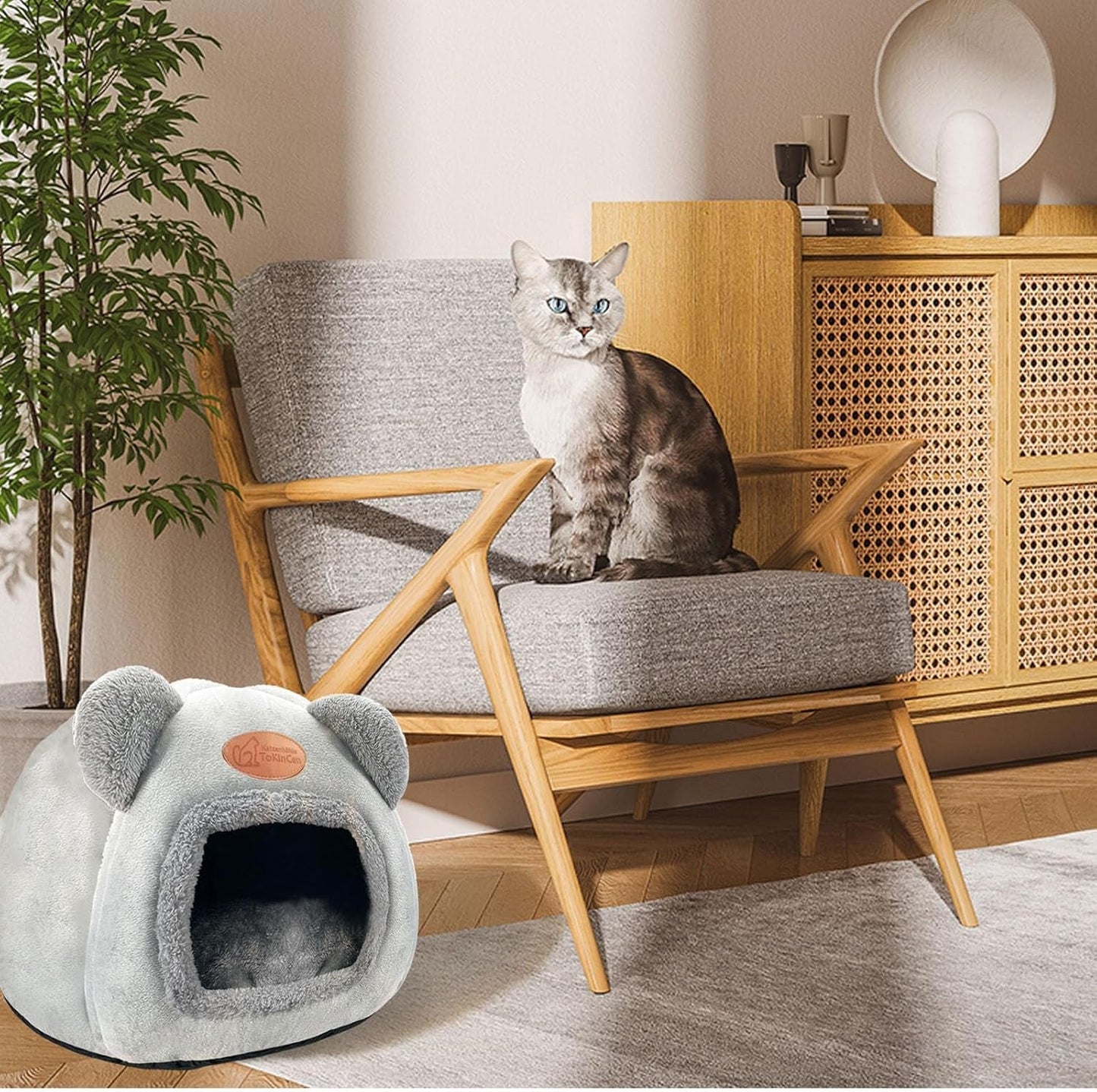 Coperte e Arredi, Animali Domestici, Grotte e Casette, Gatti, Letti per gatti, Gatti - Letti, materassi