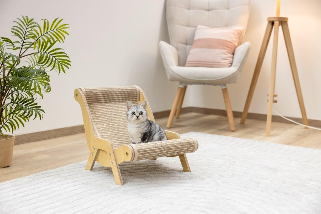 Coperte e Mobili, Animali Domestici, Gatti, Letti per gatti, Tiragraffi, Gatti - Letti, Materassi