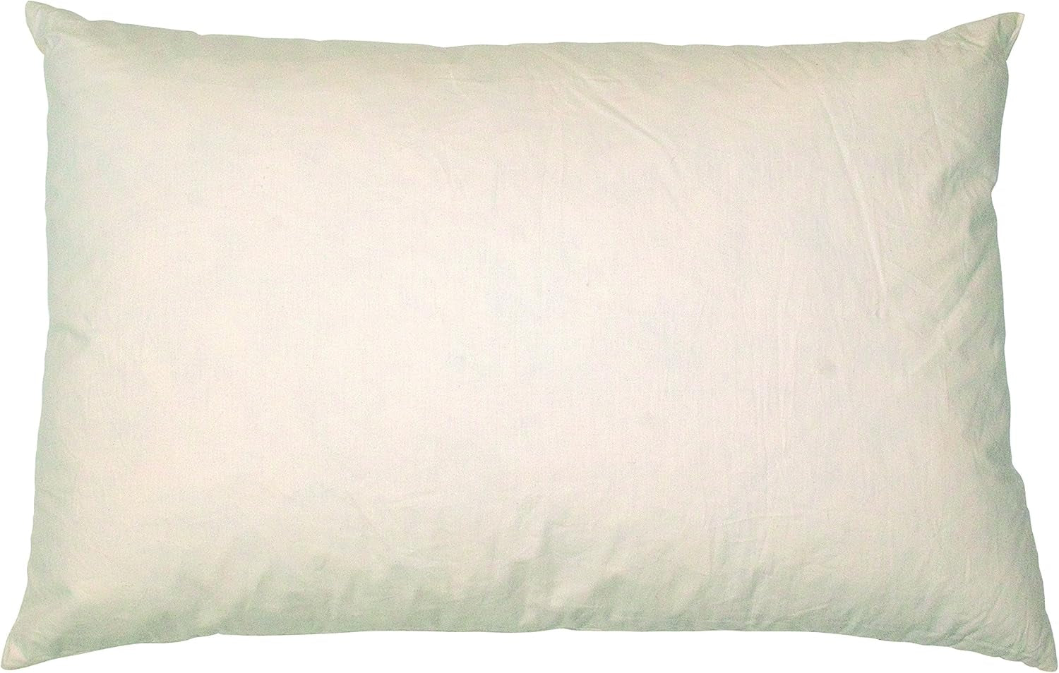Imbottitura cuscino in piuma Sschwarzfischer, cotone, crema, 40 X 60 cm Naty Shop cuscini standard 1 pezzo (1 confezione)