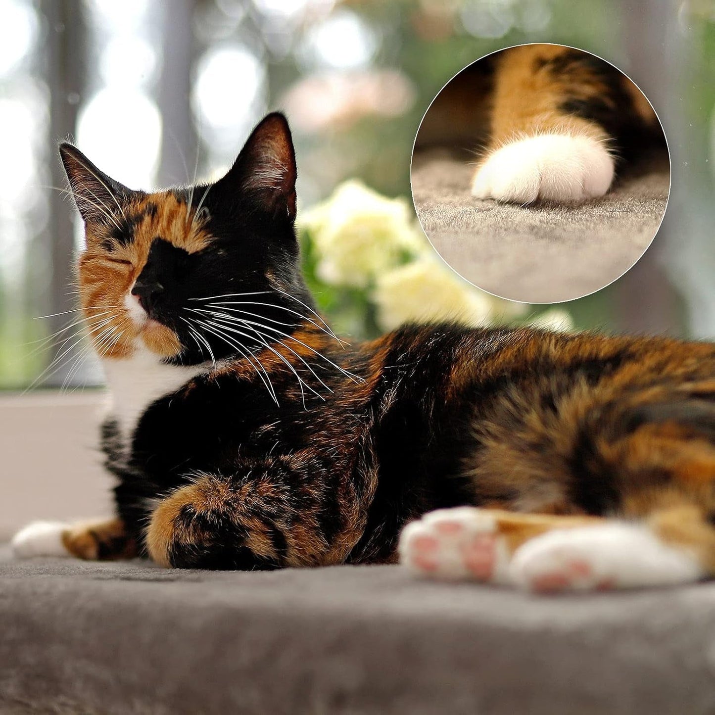 Coperte e mobili, Sedili vicino alla finestra, Animali domestici, Gatti, Letti per gatti, Gatti - Letti, materassi