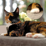 Coperte e mobili, Sedili vicino alla finestra, Animali domestici, Gatti, Letti per gatti, Gatti - Letti, materassi