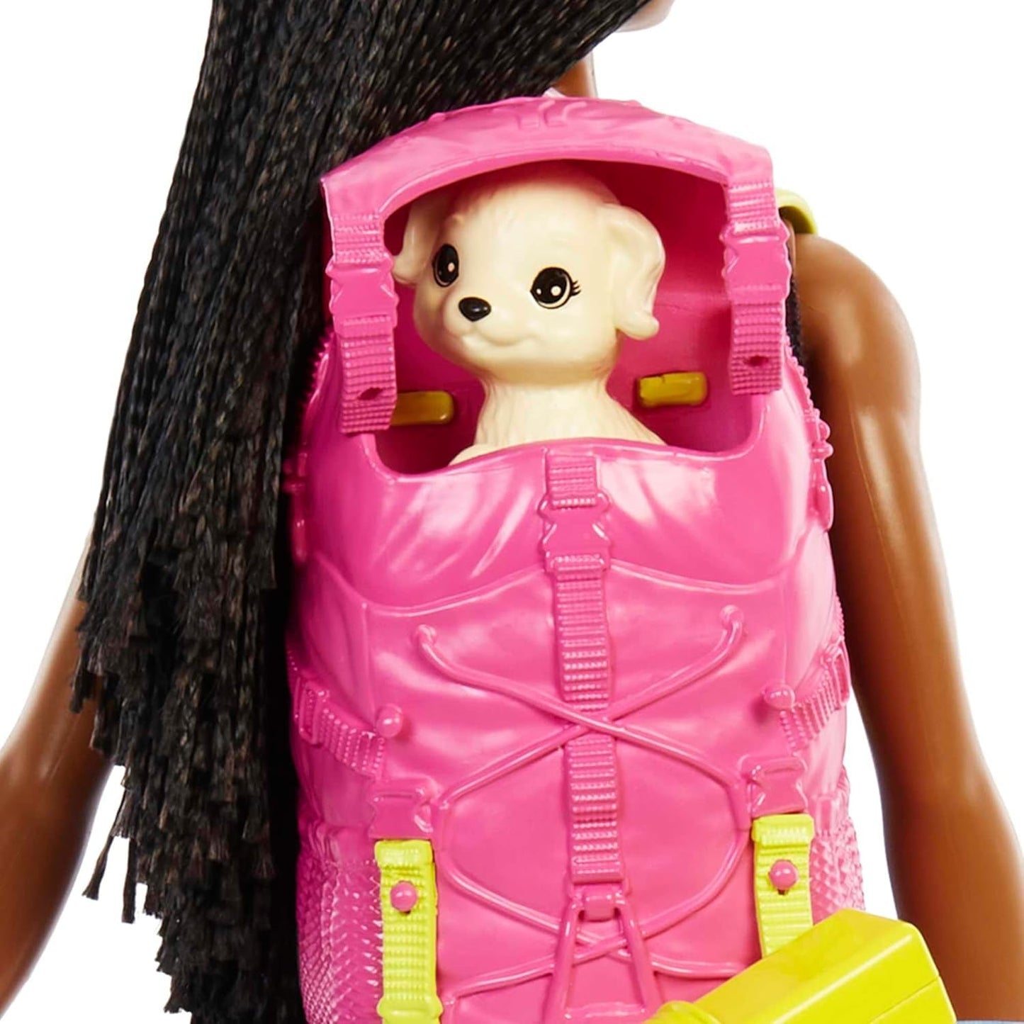Barbie HDF74 Confezione doppia bambola! Brooklyn Camping Doll (Bruna con trecce intrecciate, circa 29 cm) con cucciolo, zaino, sacco a pelo, 10 accessori da campeggio, regalo per bambini dai 3 anni in su