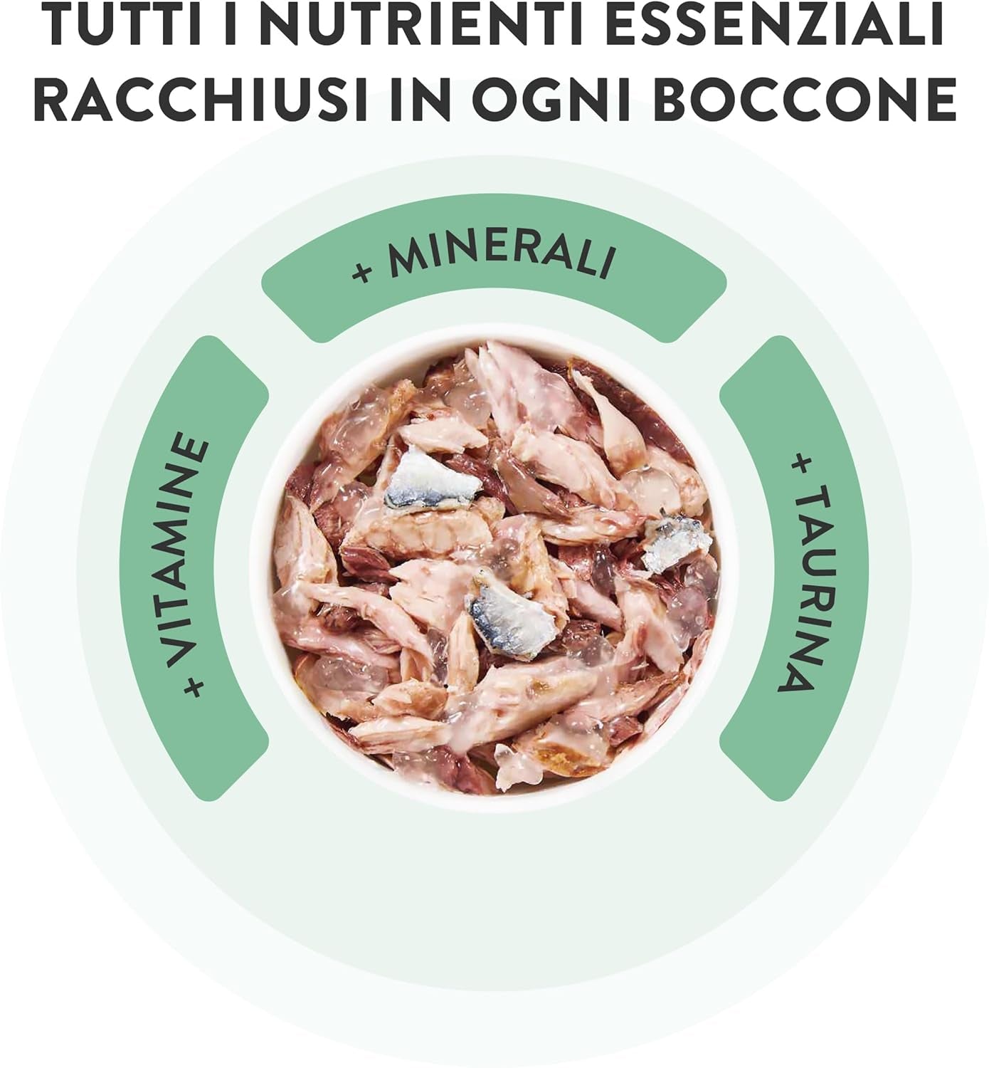 Tonno Salmone in Gelatina, Alimento umido completo per gatti, in scatola, con vitamine aggiunte, 100% naturale, 6 x 85 g