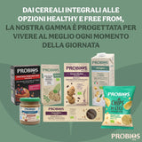 Cornflakes bio leggeri da 500g per confezione