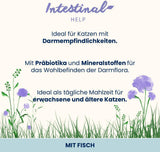 Almo Nature Functional - Intestinal Help - Alimento umido per gatti adulti e maturi con intestino sensibile - con pesce - sostiene il microbioma - 70 g (confezione da 30)