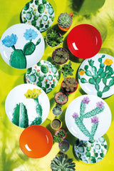 Servizio da tavola Excelsa Color Cactus, 18 pezzi, multicolore
