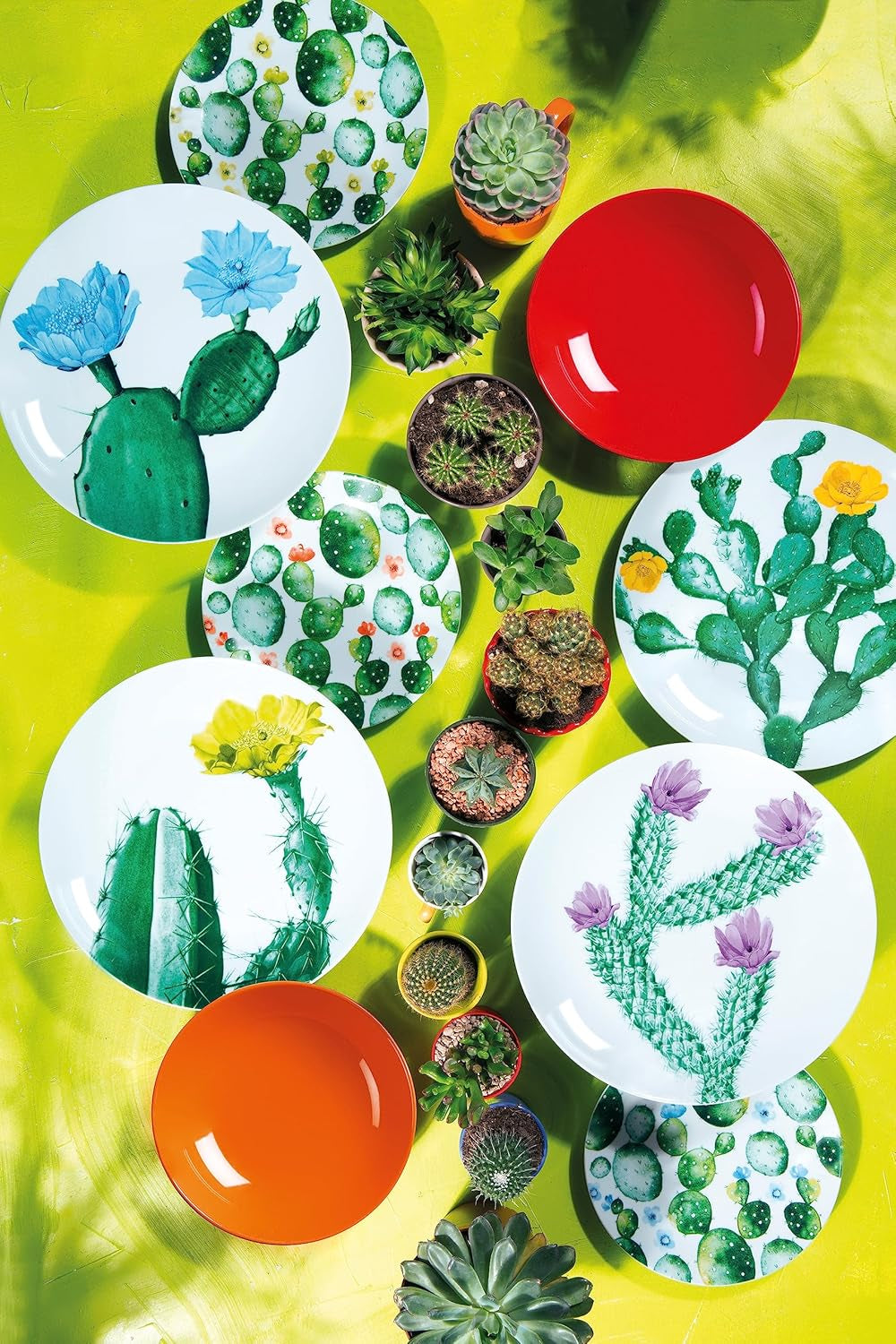 Servizio da tavola Excelsa Color Cactus, 18 pezzi, multicolore