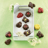 Silikomart 199199, stampo per cioccolato, modello Primavera, 15 praline, Marrone Cucina Naty Shop