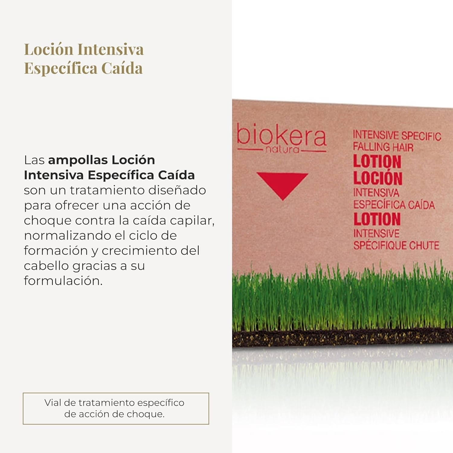 Cosmetici Lozione Rigenerante Capelli Specifica, confezione da 6 (6 X 10 ml) Cura dei capelli Naty Shop