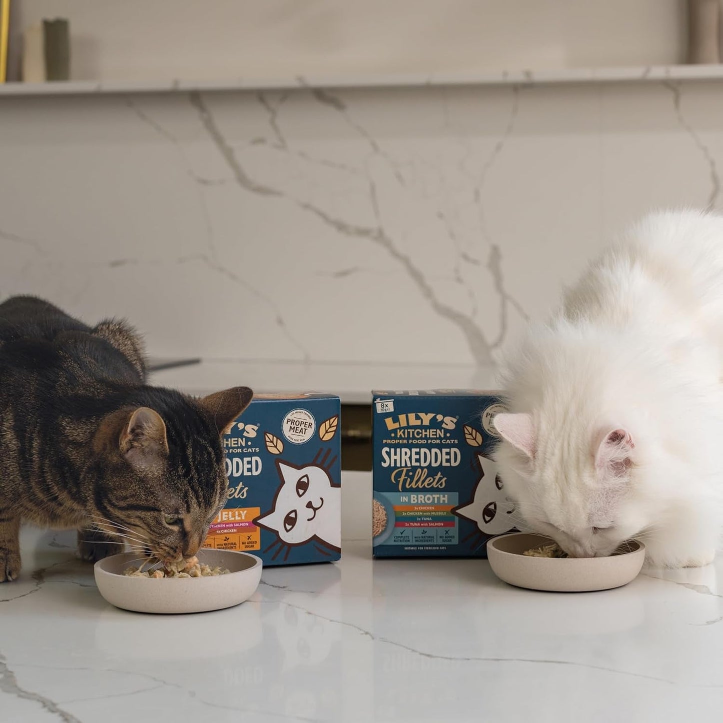 Lily's Kitchen Aus Naturichen Ingredient hermestellung Zerkleinerte Filets in Gelee mit Hühnchen und Lachs Ausgewachsen Nassfutter für Katzen 70 g Dose