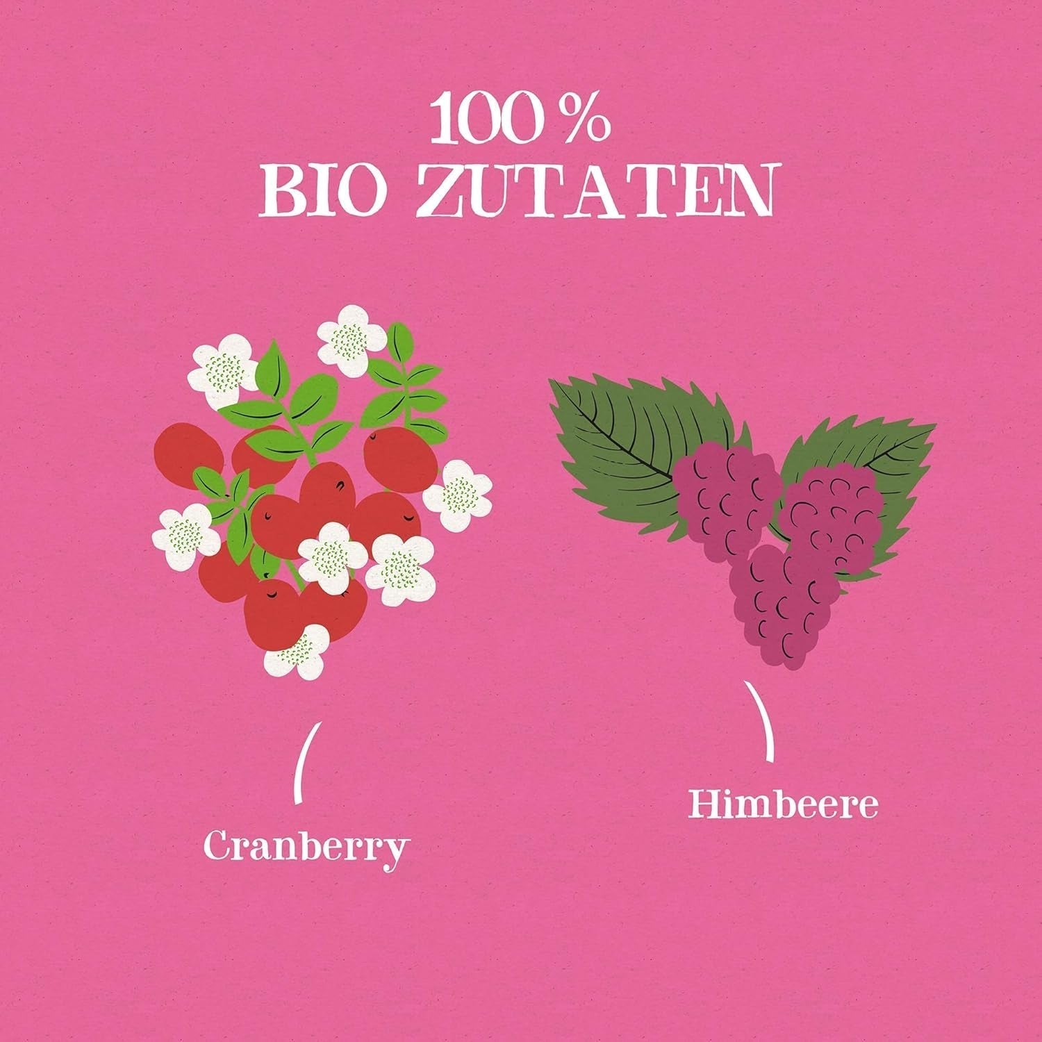 Cupper Tè alla frutta biologico Mirtillo rosso Lampone | Tè al lampone | 250 bustine di tè non sbiancate | Grande pacco | Perfetto per l'ufficio | Ecologico | Commercio equo e solidale