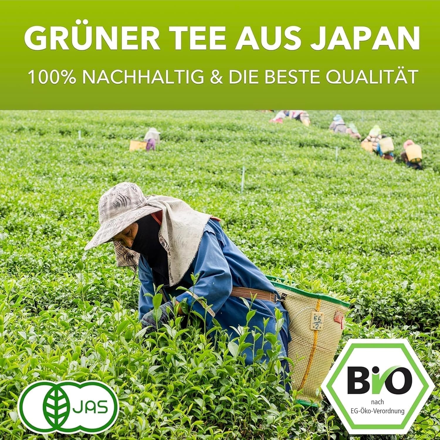 Matchamagic - Matcha latte in polvere biologico dal Giappone con zucchero di fiori di cocco per un tè delizioso