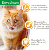 IAMS Delights Cibo Umido per Gatti con Manzo Succoso e Carote in Gelatina - Alimento Umido Completo per Gatti Adulti, 24 Bustine x 85g
