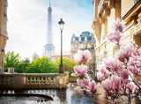 Ravensburger Puzzle 12000366 - Primavera a Parigi - Puzzle da 500 pezzi per adulti e bambini dai 12 anni Puzzle Naty Shop Scenic