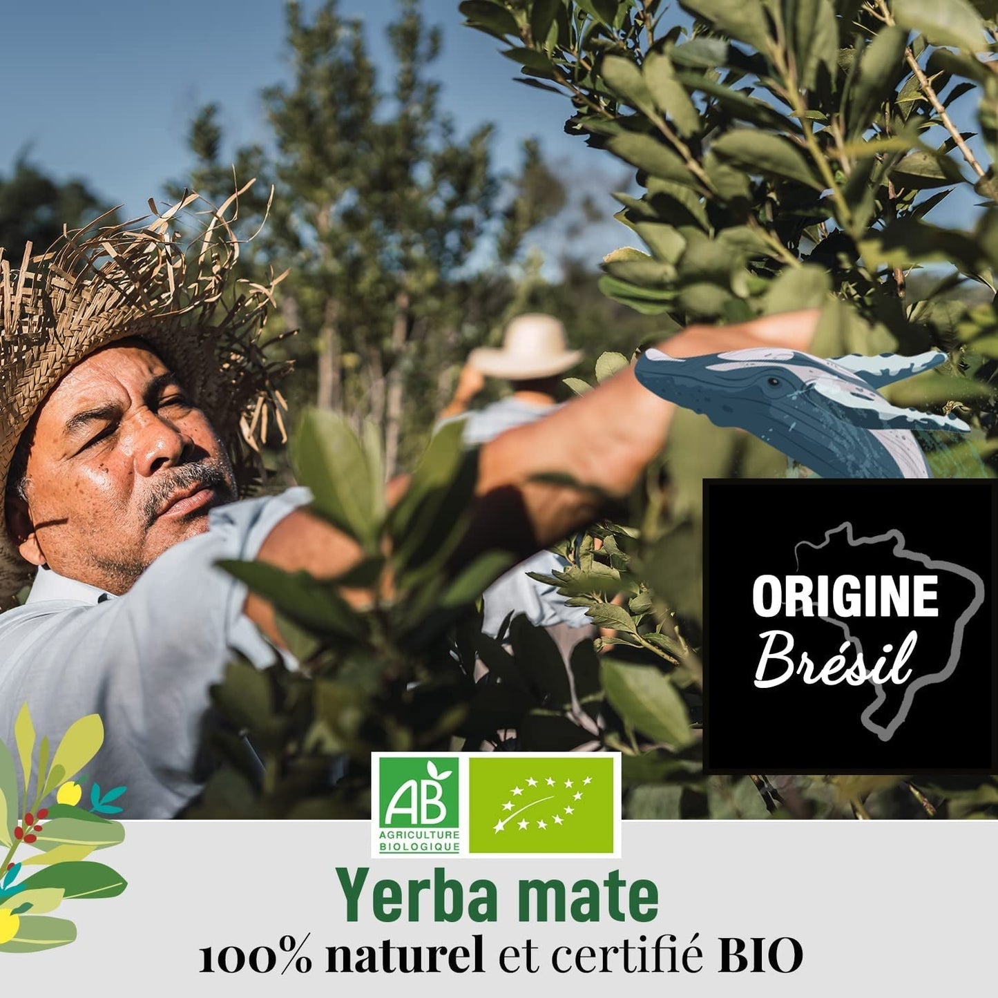 ORIGEENS BIO YERBA MATE CON MENTA E LIMONE 200 G - Freschezza I Bio Yerba Mate non torrefatto, foglie, senza steli e polvere