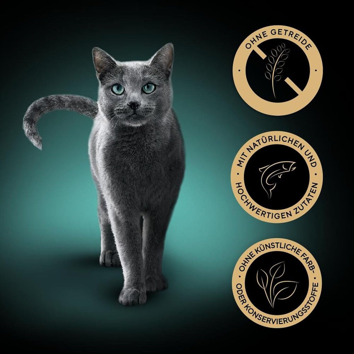 SHEBA Cibo umido per gatti, Collezione Nature in salsa di salmone, 2 x 11 x 85 g