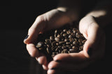 Espresso Forte 36 capsule per macchina da caffè Nespresso - Intensità 8/10 - Capsule per caffè zertifiziate UTZ in alluminio (confezione con 3)