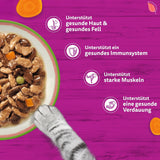 WHISKAS TASTY MIX Nassfutter in salsa per gatti 40 x 85g Scelta dello chef