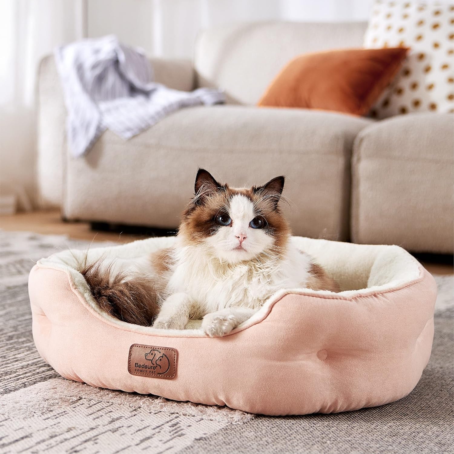Letti e Divani, Coperte e Arredi, Animali Domestici, Gatti, Letti per gatti, Gatti - Letti, materassi