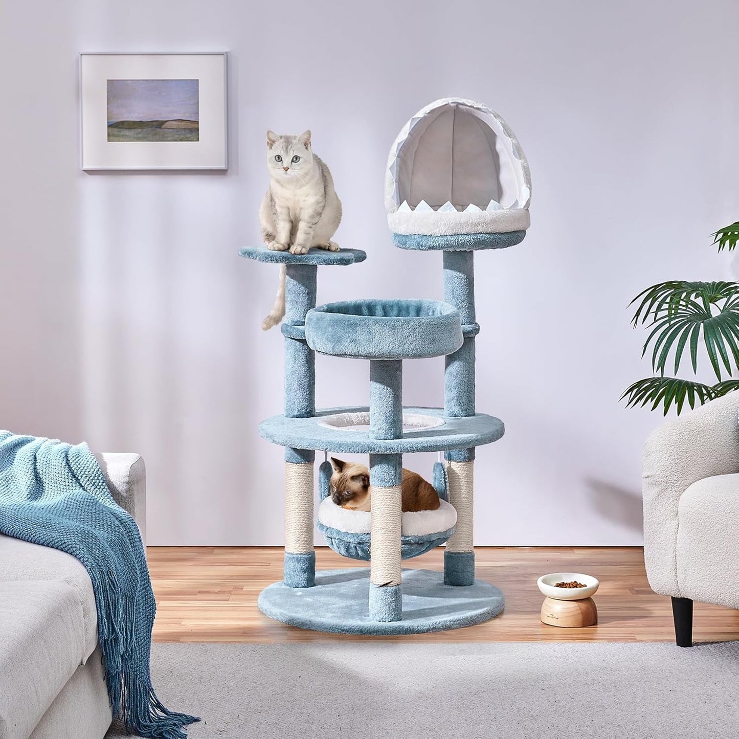 Coperte e Mobili, Animali Domestici, Gatti, Letti per gatti, Tiragraffi, Gatti - Letti, Materassi